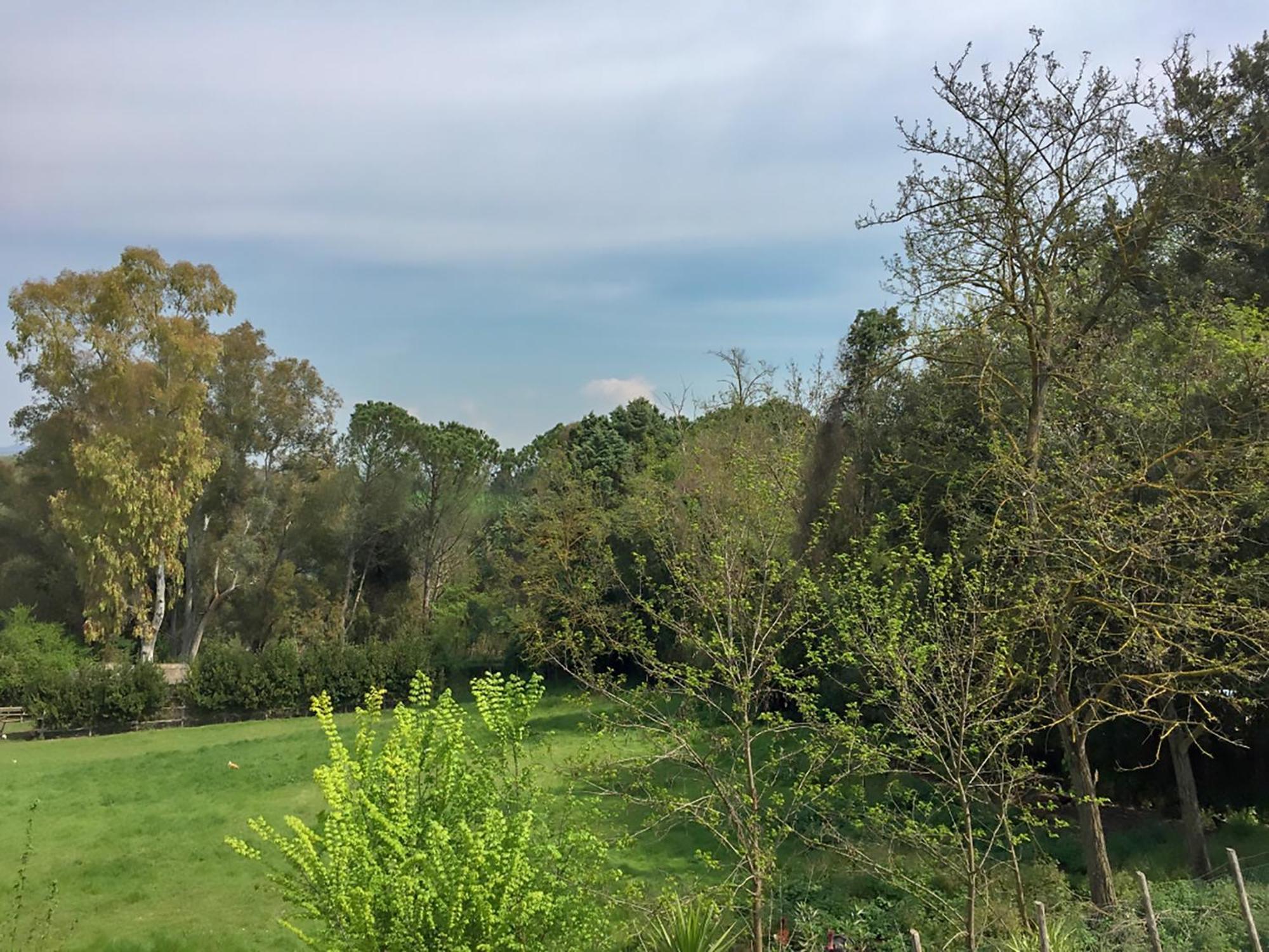 Nel Borgo Rom